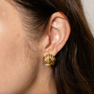 BRENDA GRANDS JEWELRY DOUBLE SHELL EARRINGS