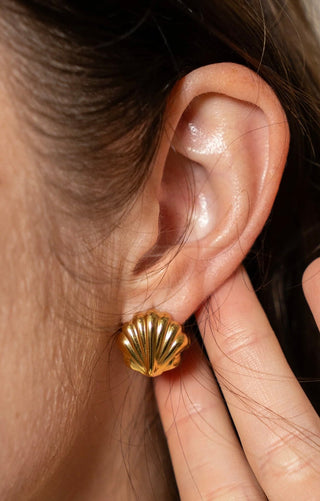 BRENDA GRANDS JEWELRY DOUBLE SHELL EARRINGS