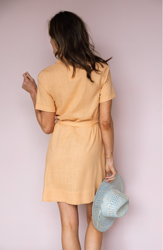 DEX CHELSEA DRESS