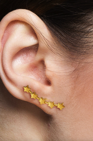 LEE & BIRCH STARDUST CLIMBERS